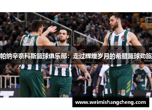 帕纳辛奈科斯篮球俱乐部：走过辉煌岁月的希腊篮球劲旅