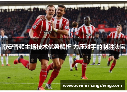 南安普顿主场技术优势解析 力压对手的制胜法宝