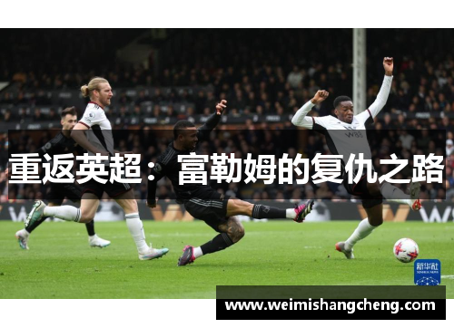 重返英超：富勒姆的复仇之路